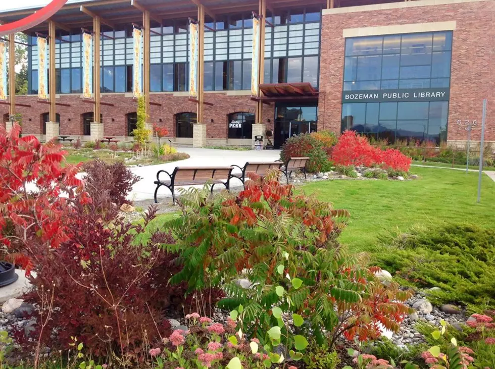 The Best FREE Thing to do in Bozeman, Montana: WATCH